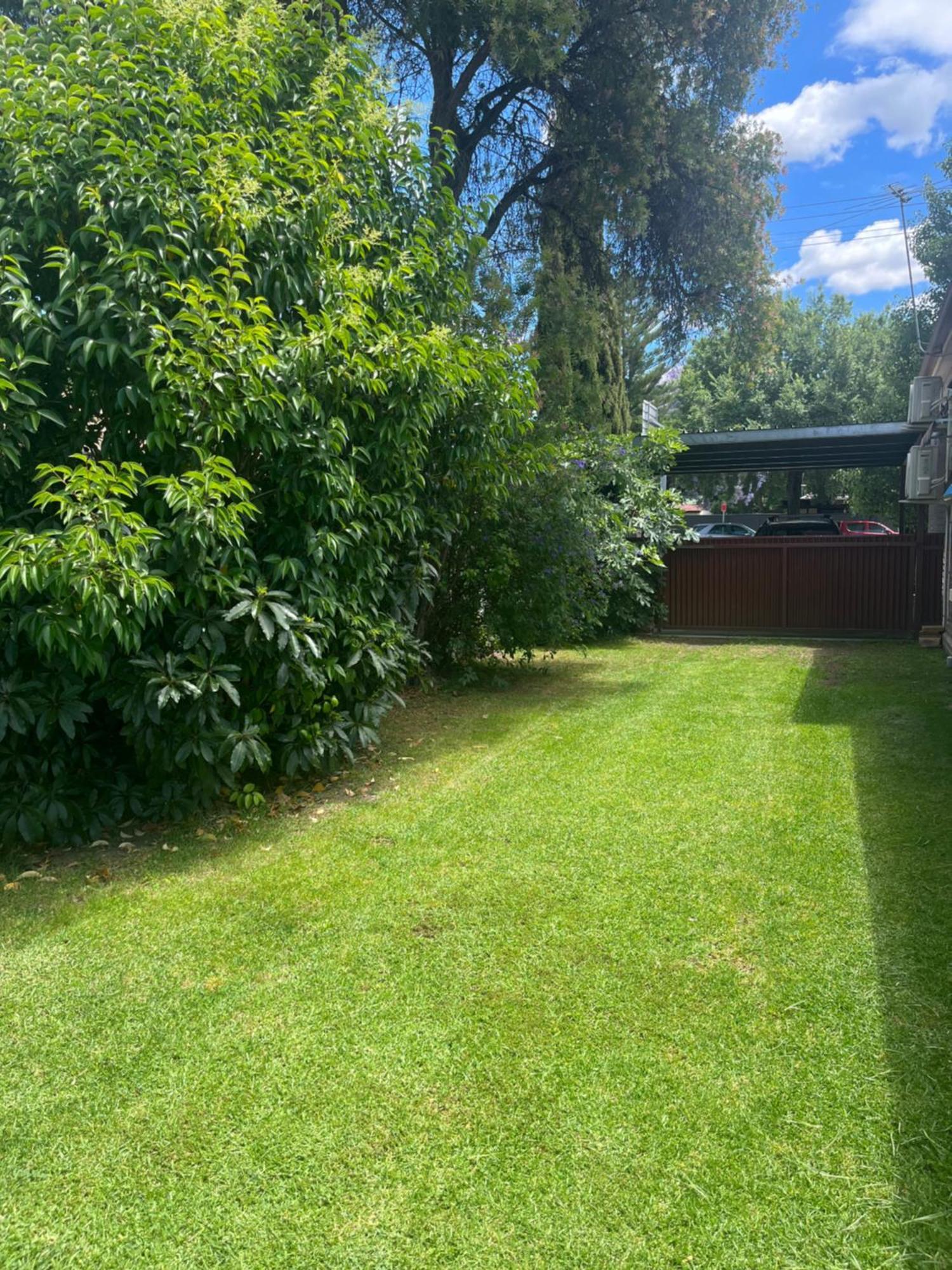 Somerby! Modern Character Property! Cbd,Pets,Park Albury Buitenkant foto